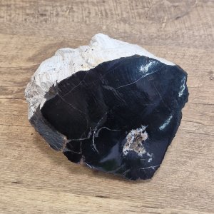 Fosilizirani Les - Slovenija