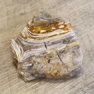 Opaliziran les - delno poliran